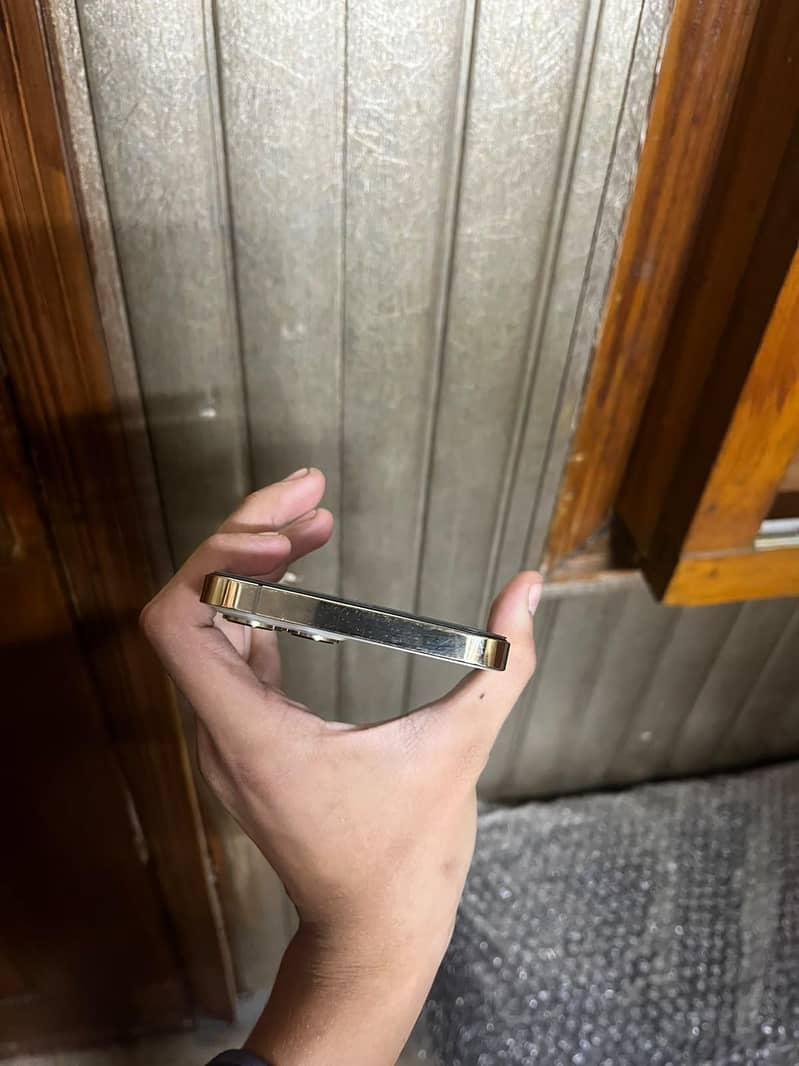 Apple iPhone 12 Pro Max 3