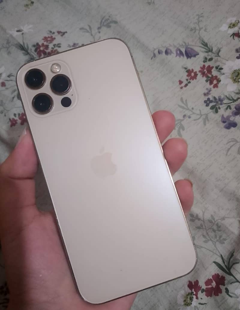 Apple iPhone 12 Pro Max 5