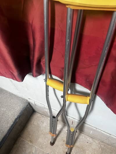 Walking stick