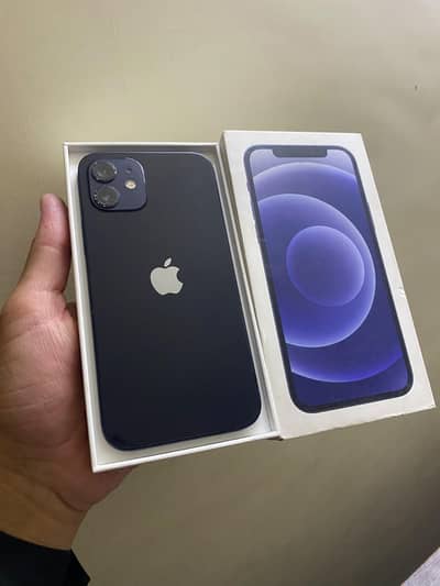 IPhone 12 128gb Dual pta with box 03346589202