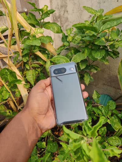 Google Pixel 8 Official Pta Approved