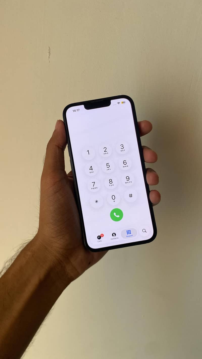 Apple iPhone 13 0