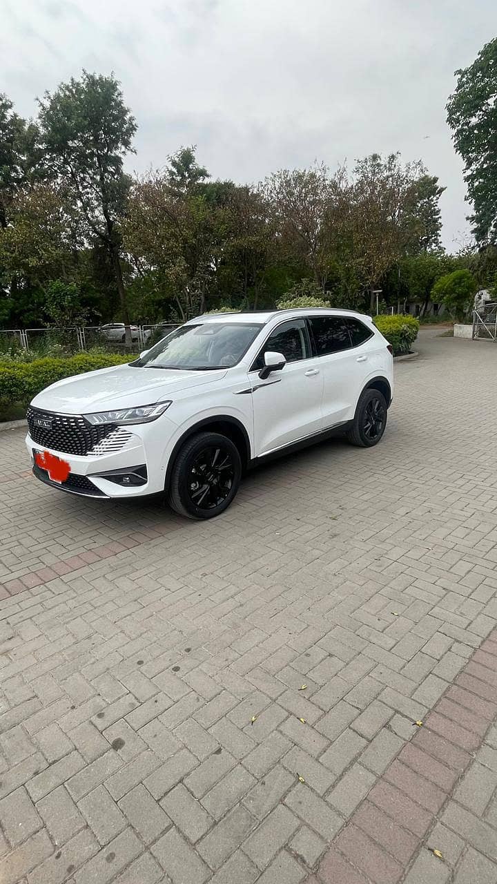 haval hybrid automatic 8