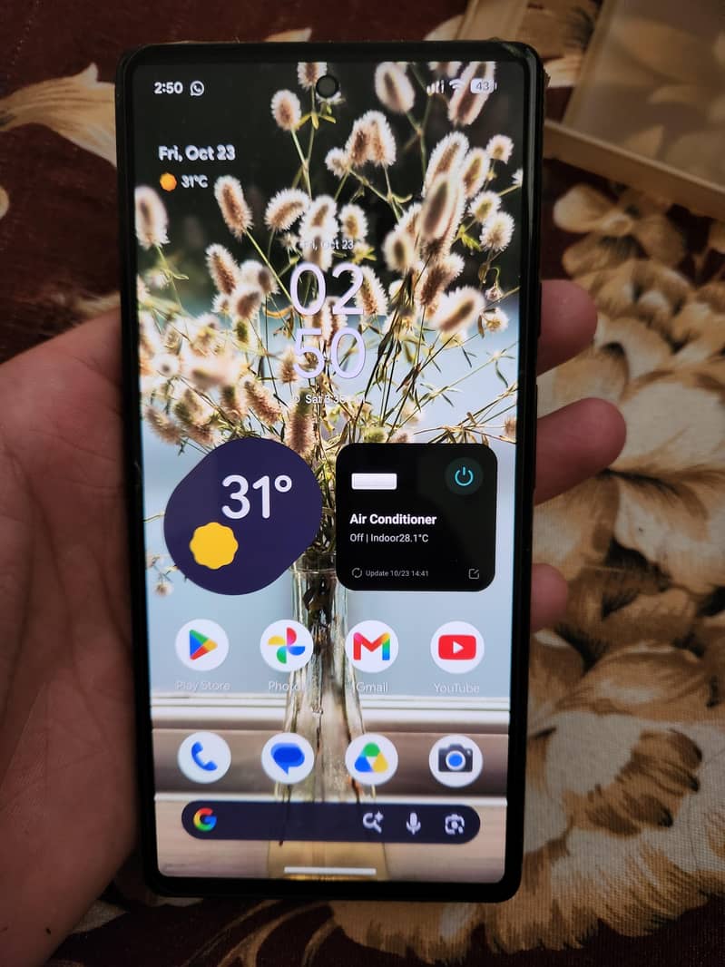 Google Pixel 6 must read description 1