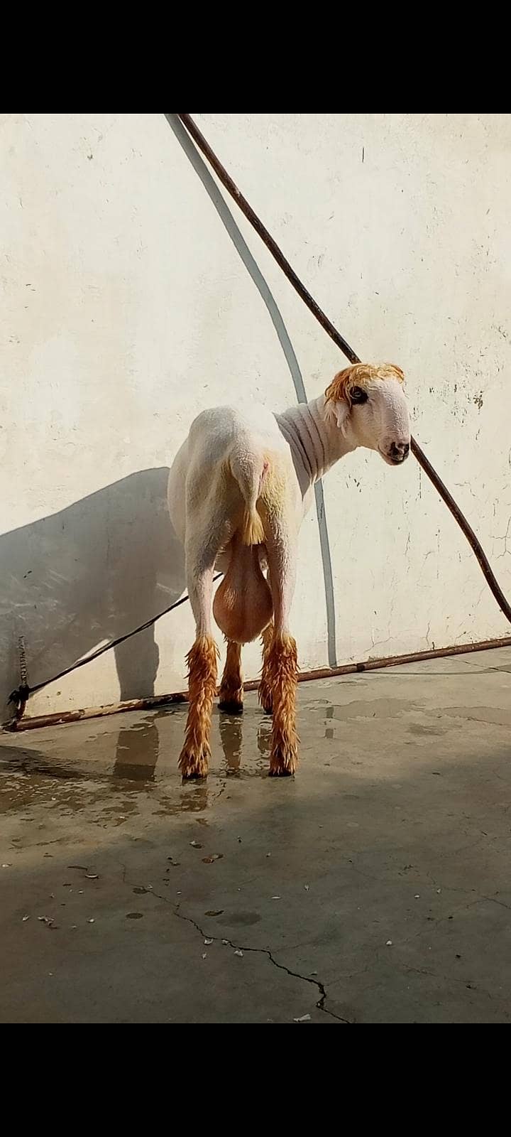 mundra 0