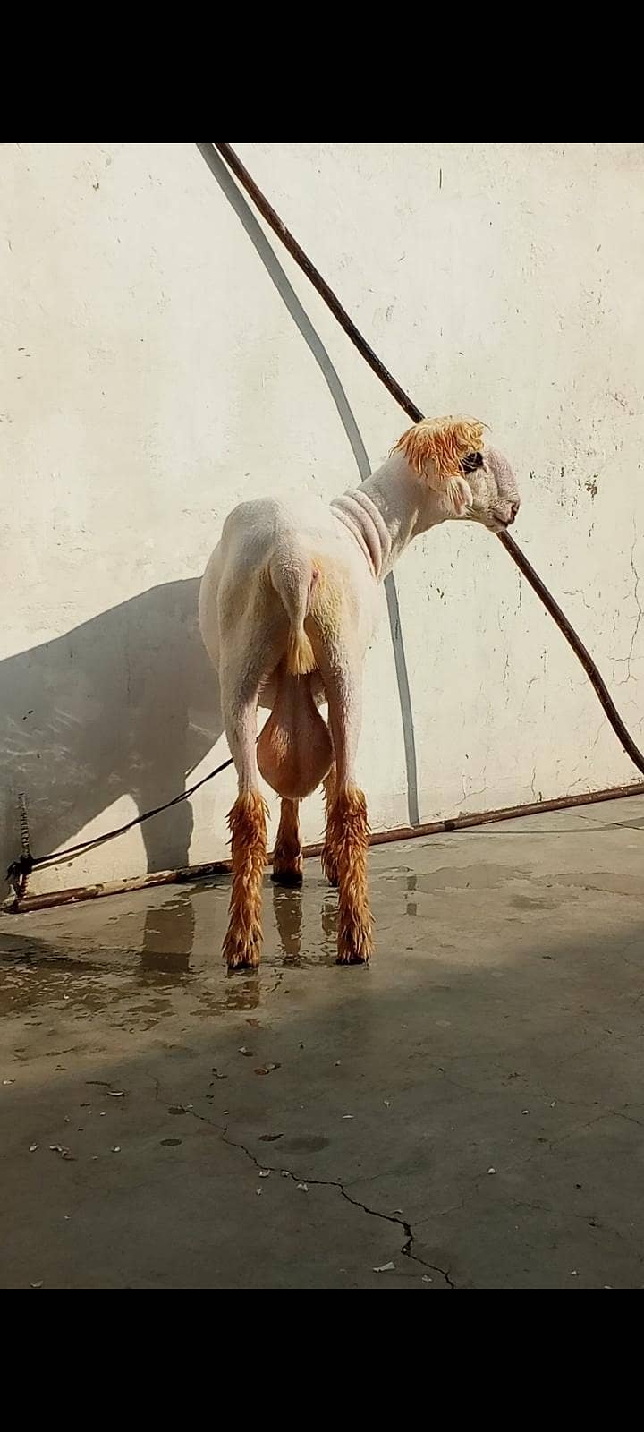mundra 1