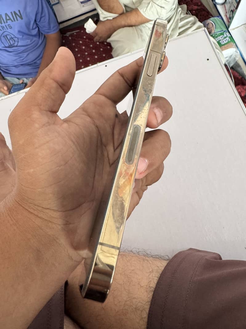 Apple iPhone 13 Pro Max 2