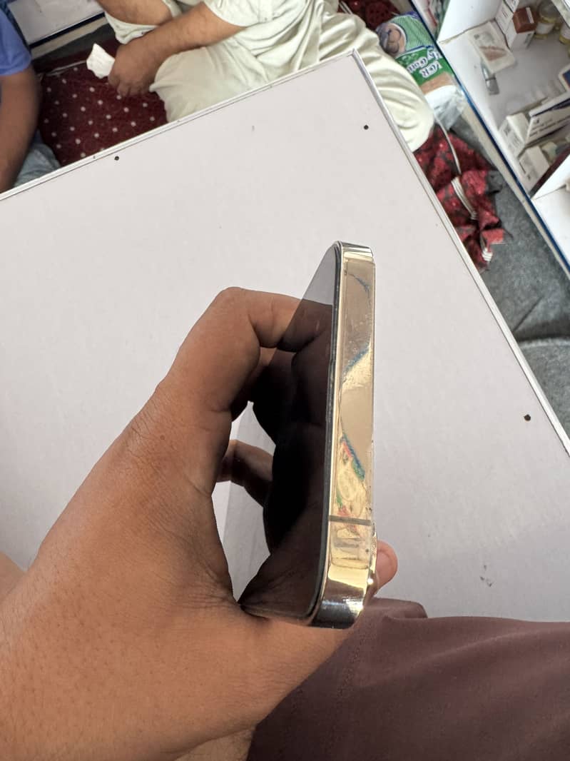 Apple iPhone 13 Pro Max 5