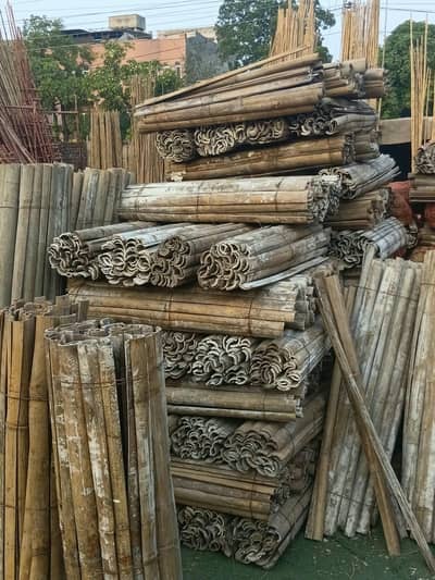 sarancha barma Vietnam available