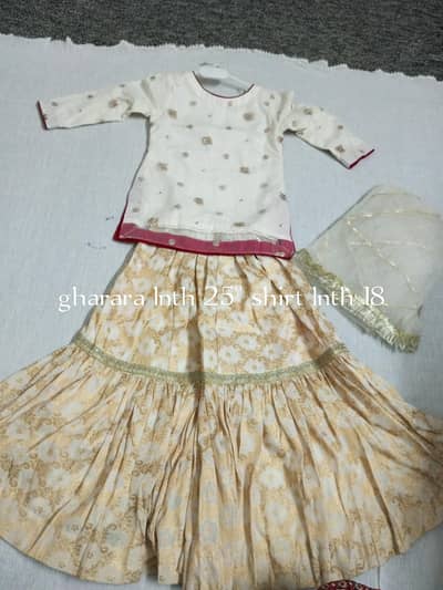 lehnga suit