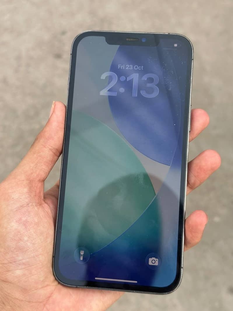Apple iPhone 12 Pro Max 0