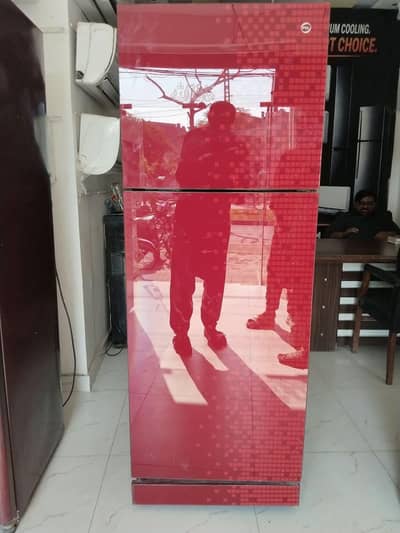 PEL large size class door fridge/0321/0833328/
