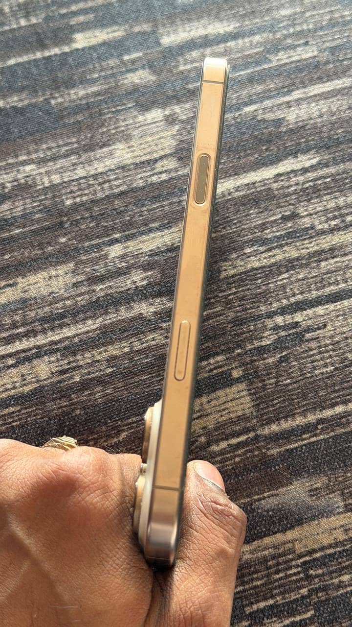 Apple iPhone 16 Pro Max 3