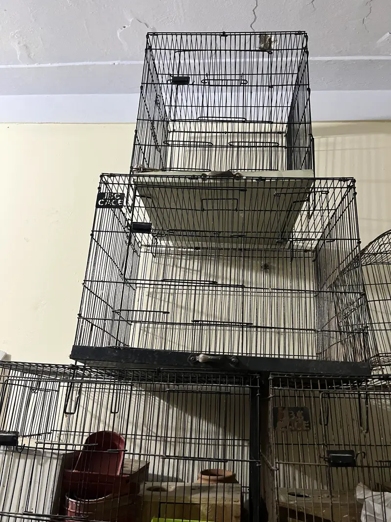 All cages for sale — photo 2