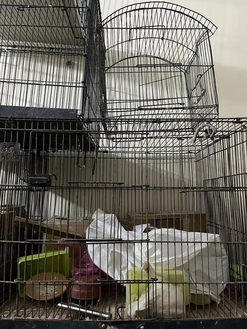 All cages for sale — photo 3