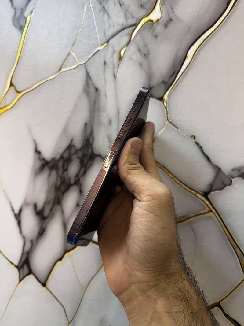 Apple iPhone 14 Pro Max 5