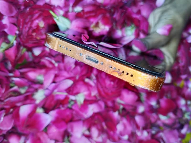 Apple iPhone XR 2