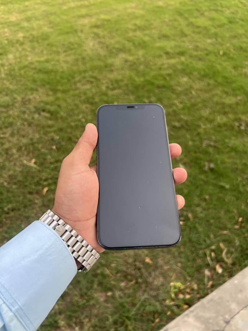 Apple iPhone 12 Pro Max 1