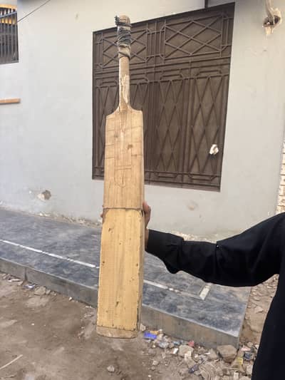 Hard ball used bat
