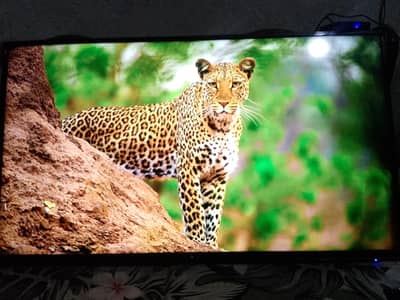 40 inch LCD HDMI