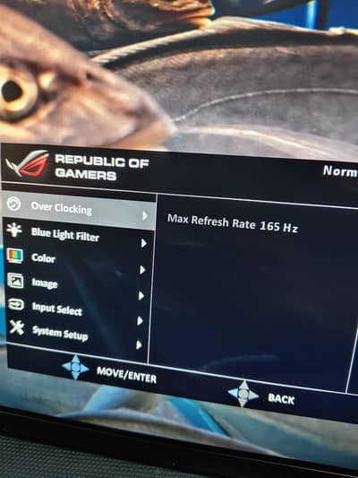 2k Gaming Monitors 4 sale Asus n Dell