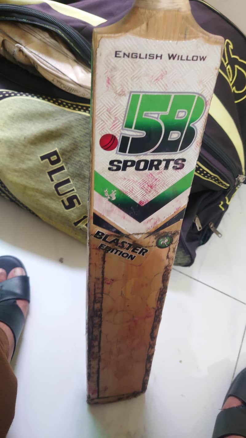 HIGH PROFILE BAT 1