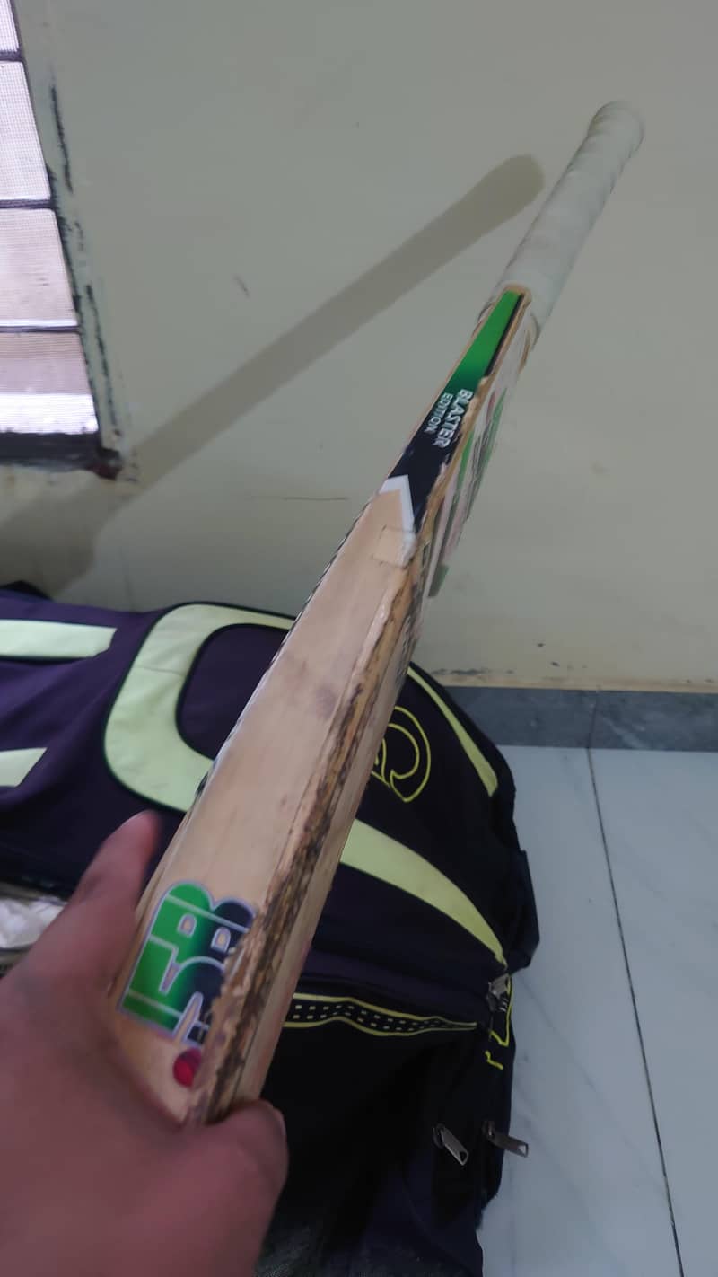 HIGH PROFILE BAT 9