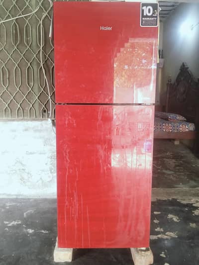 single dorr hari