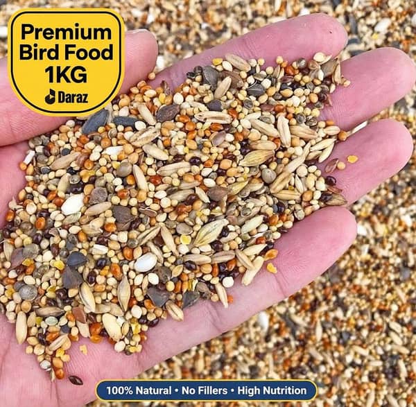 Premium Totta Dana Mix 1KG for Australian Parrots, Budgies, Cockatiels - Kangni, Cheena, Bajra, Sunflower Seeds