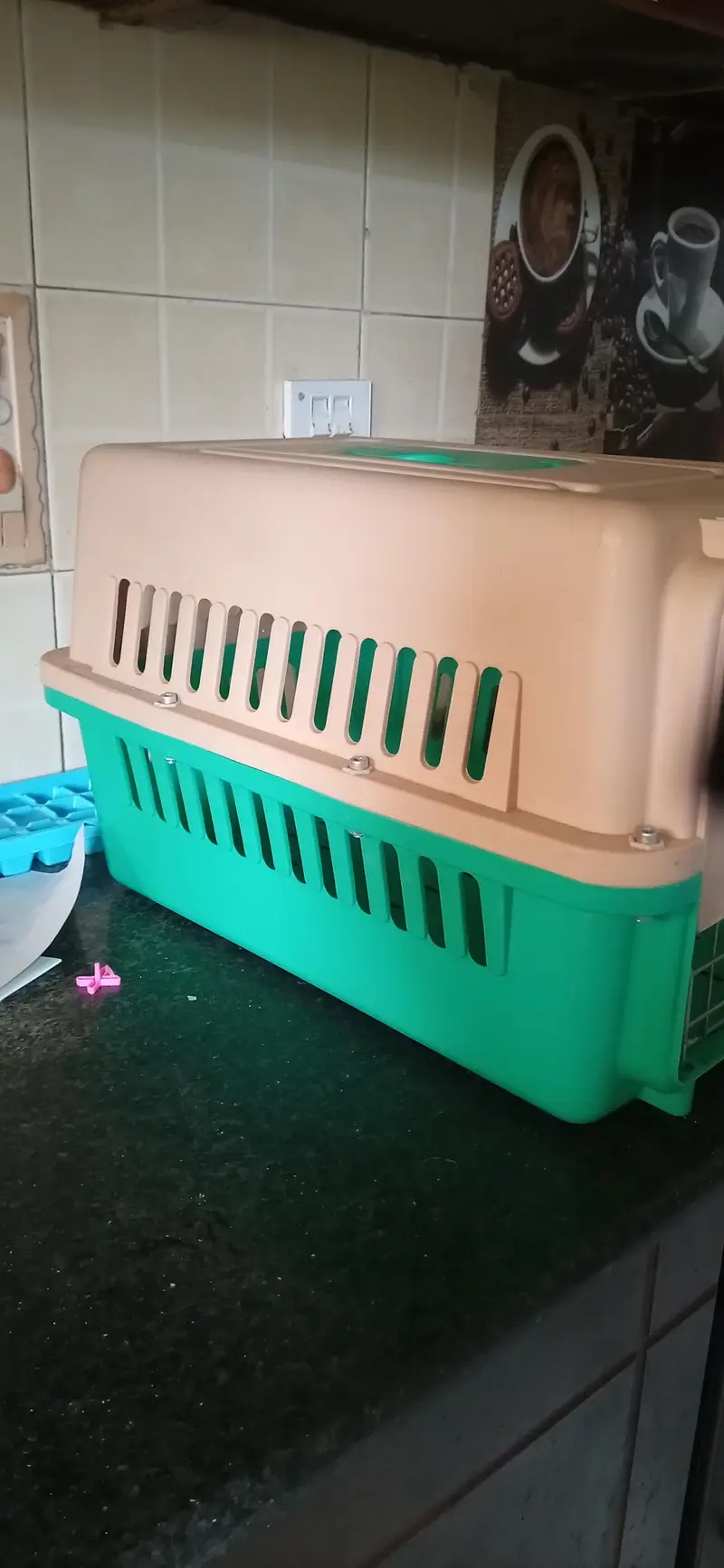 Portable Plastic Pet Carrier Box for Cats & Small Dogs — photo 2