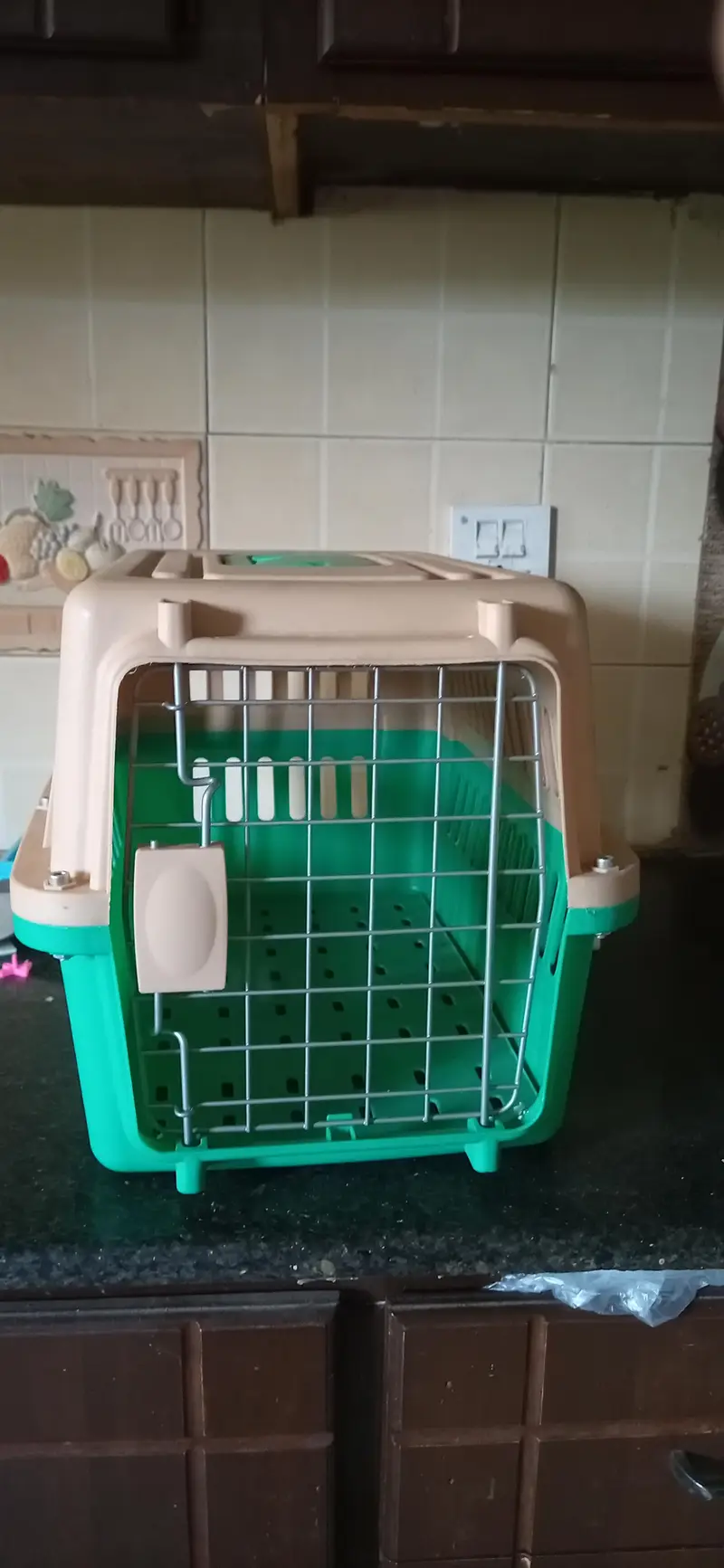 Portable Plastic Pet Carrier Box for Cats & Small Dogs — photo 4