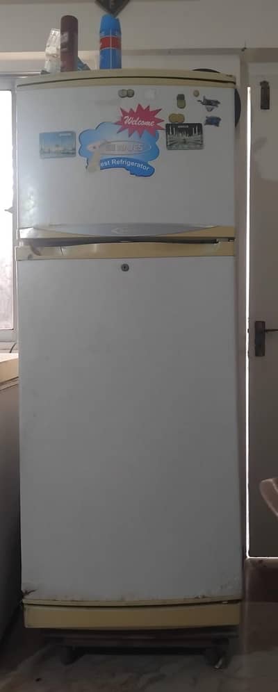 Fridge
