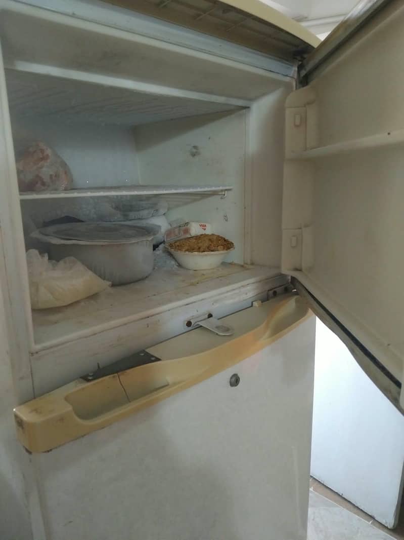 Fridge 1