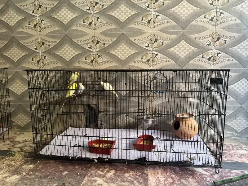 Double Size and Single size cage for sale [Good Condition]