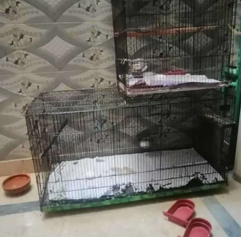 Double Size and Single size cage for sale [Good Condition] — photo 2