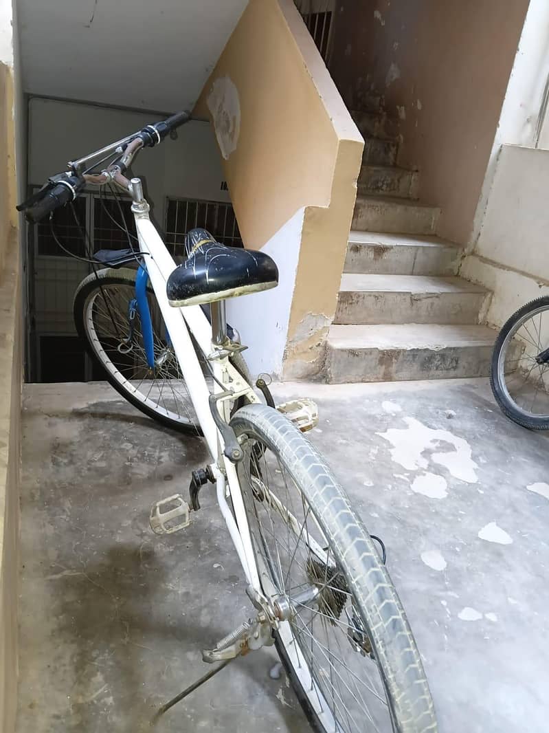 2019 model mountain cycle 3