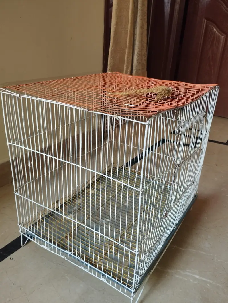 2 Bird Cages For Sale (Large & Small) single or set both available