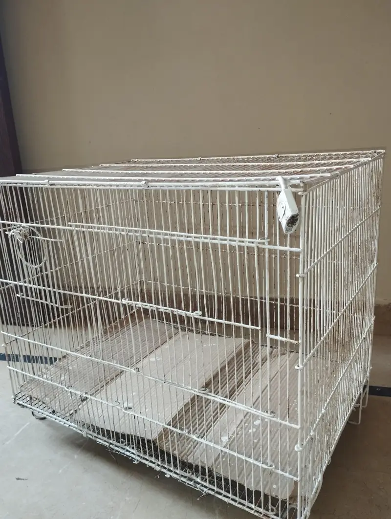 2 Bird Cages For Sale (Large & Small) single or set both available — photo 5