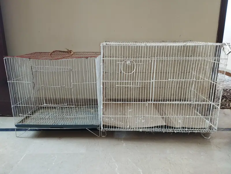 2 Bird Cages For Sale (Large & Small) single or set both available — photo 6