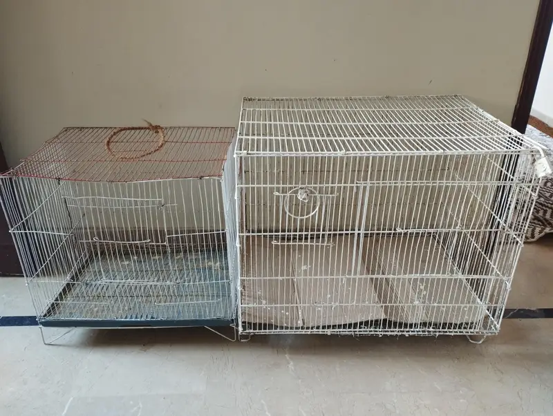 2 Bird Cages For Sale (Large & Small) single or set both available — photo 7