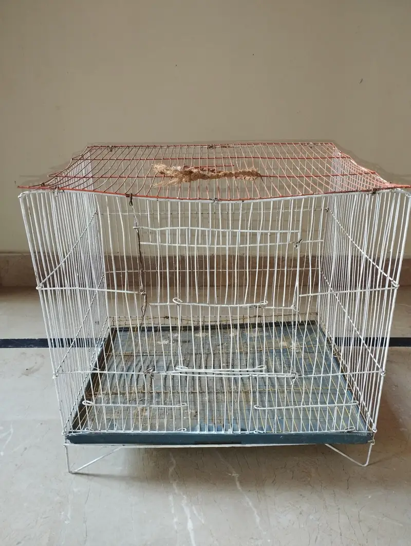 2 Bird Cages For Sale (Large & Small) single or set both available — photo 8