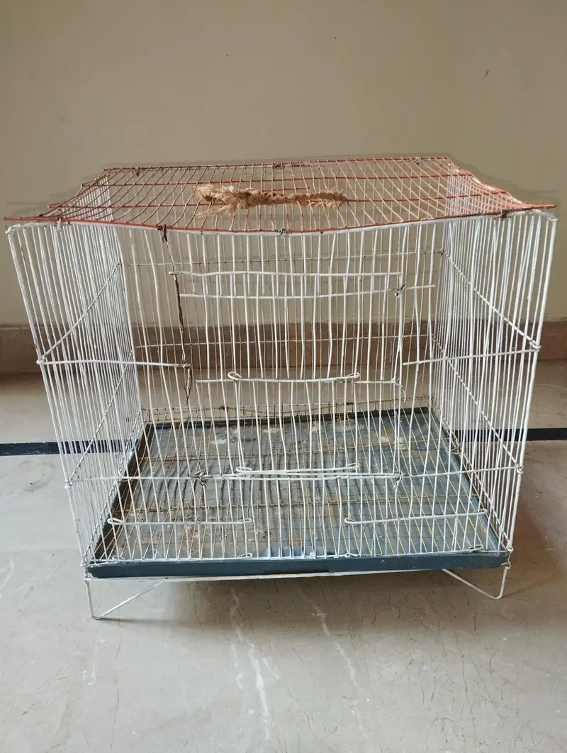 2 Bird Cages For Sale (Large & Small) single or set both available — photo 9