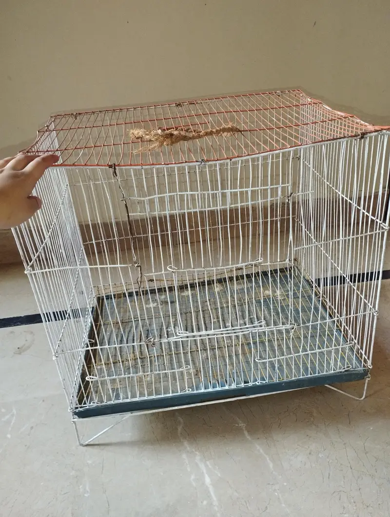 2 Bird Cages For Sale (Large & Small) single or set both available — photo 10