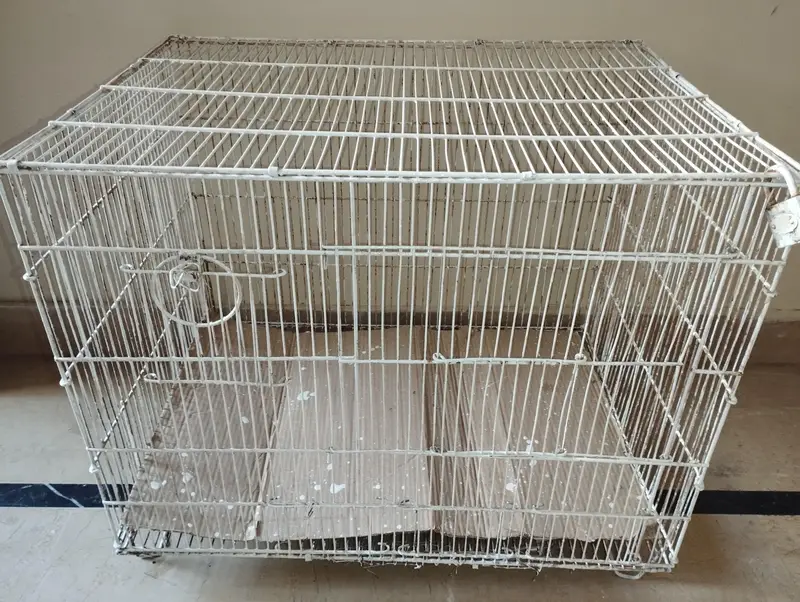 2 Bird Cages For Sale (Large & Small) single or set both available — photo 12