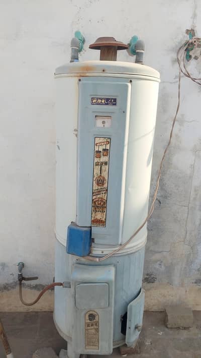 2-in-1 Dual System Gas + Electric water geyser.