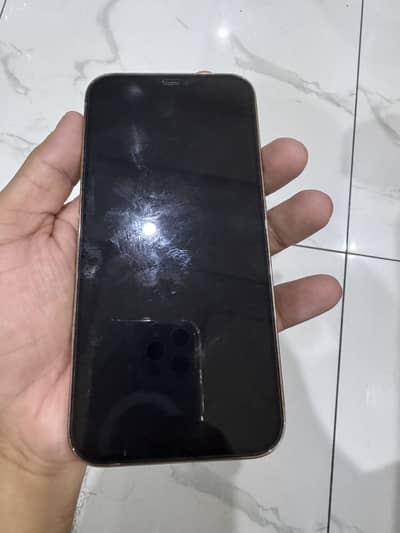 iPhone 12 Pro Max fu