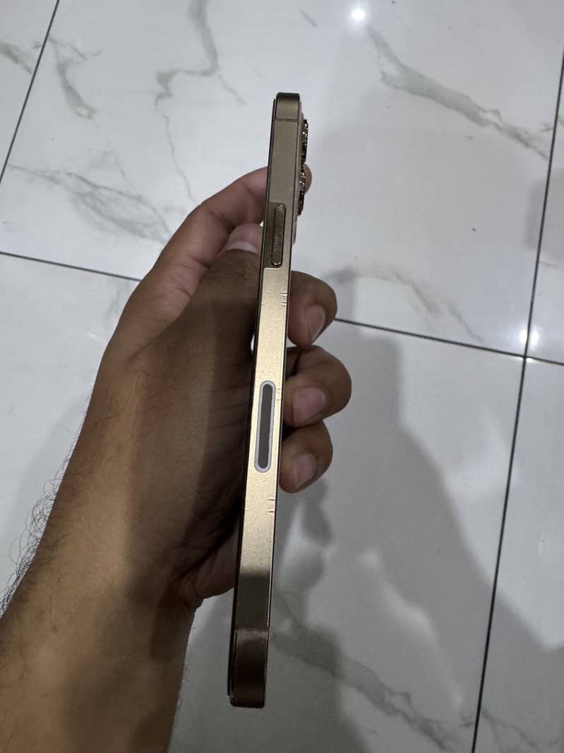 iPhone 12 Pro Max fu 5