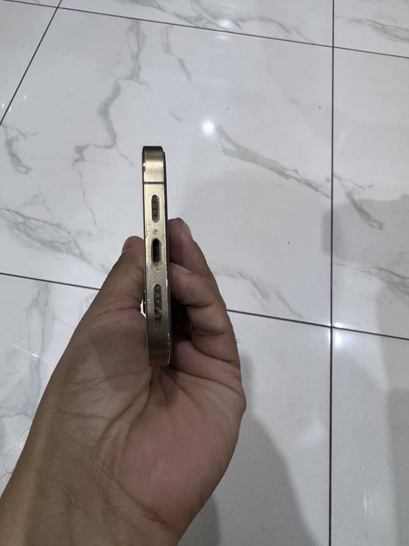 iPhone 12 Pro Max fu 6