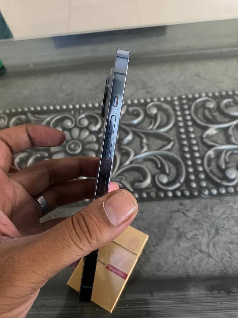 Apple iPhone 13 Pro Max 1