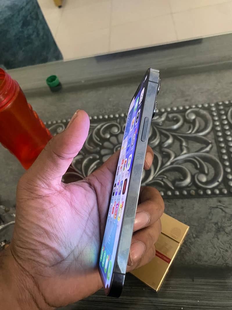 Apple iPhone 13 Pro Max 4